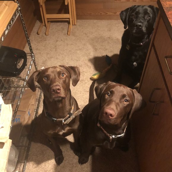 Pop up share shows! - Picture 13 of 15